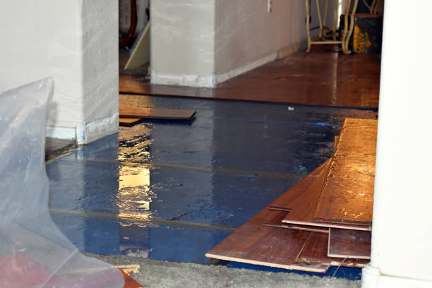 Professional Water Damage Restoration technician working in Del Valle, TX